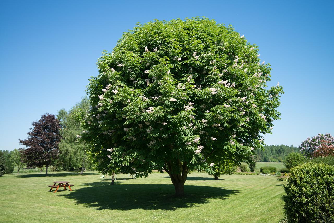 Вилла Au Jardin Fleuri Vauxaillon Экстерьер фото
