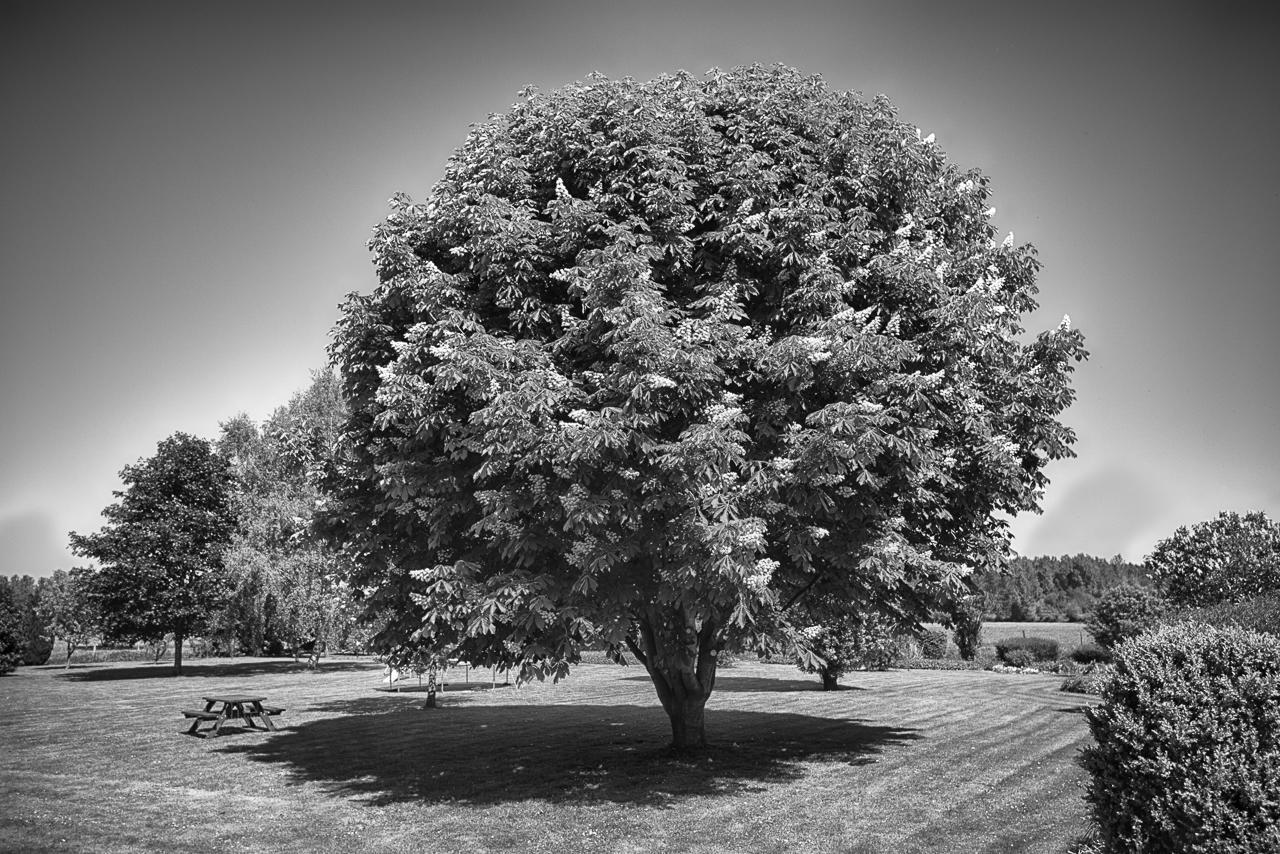 Вилла Au Jardin Fleuri Vauxaillon Экстерьер фото